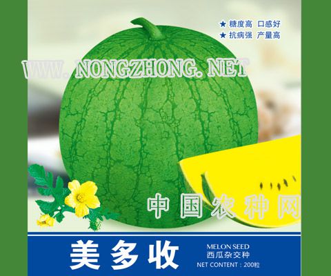 美多收